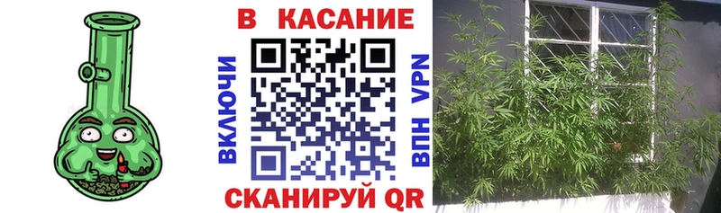Сколько стоит Курчалой Альфа ПВП  Каннабис  Мефедрон  ссылка на мегу вход  Гашиш 