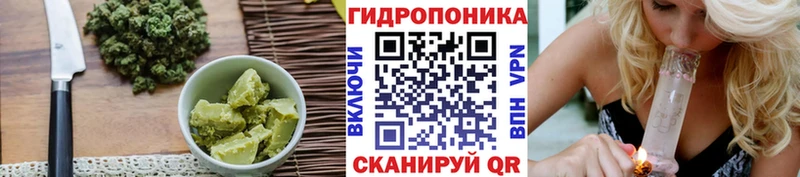 хочу наркоту  Курчалой  Canna-Cookies марихуана 