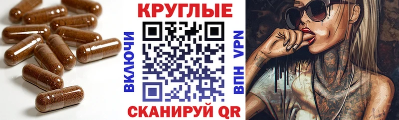 наркотики  Курчалой  darknet как зайти  ЭКСТАЗИ 99% 