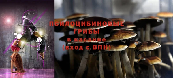 молекула духа Алексеевка