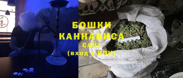 молекула духа Алексеевка