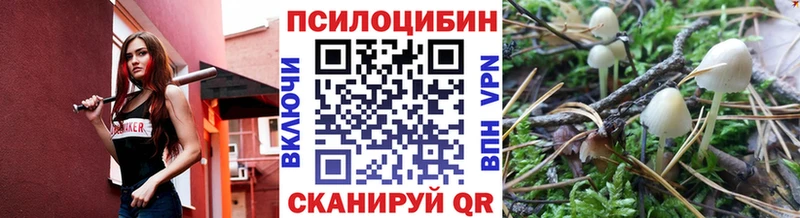 Галлюциногенные грибы мухоморы где купить наркотик Курчалой
