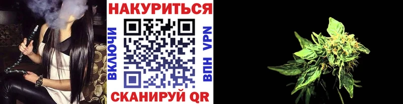 где купить наркоту  Курчалой  shop телеграм  МАРИХУАНА семена 